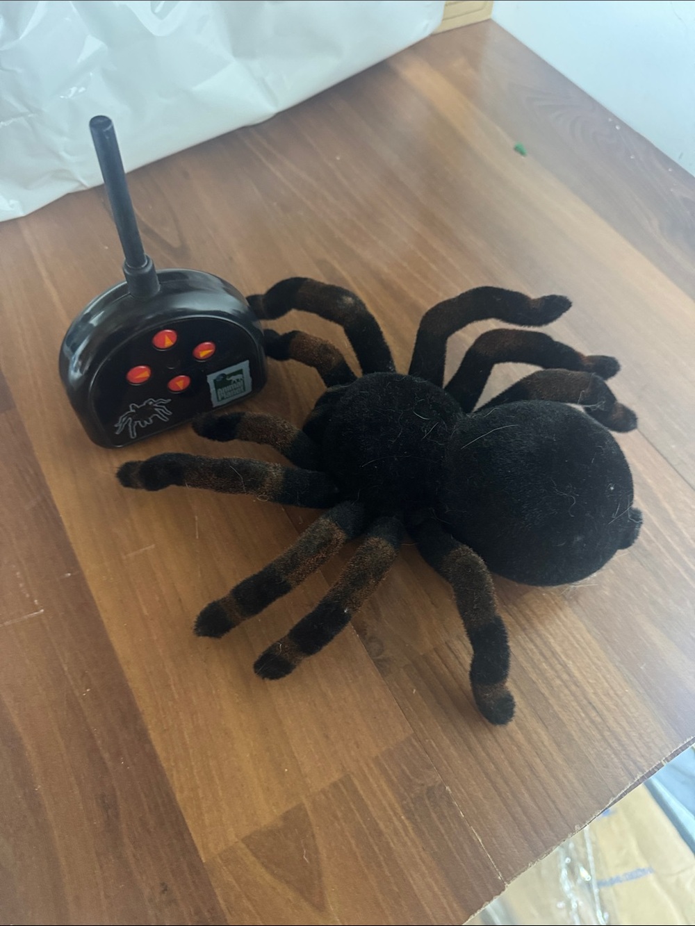 Animal Planet Remote Control Black Tarantula Toy